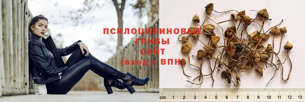 стафф Карпинск