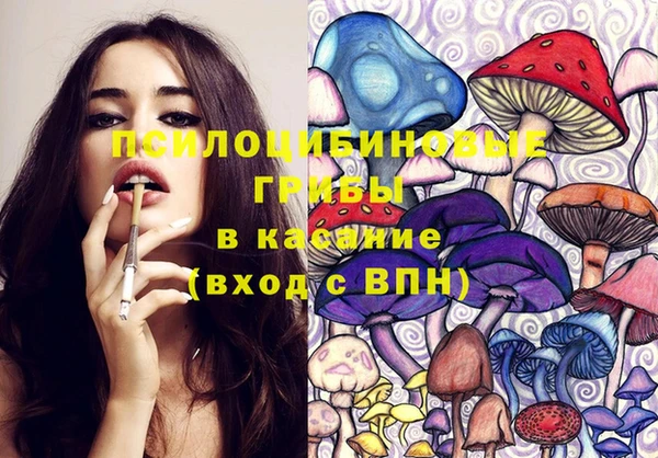 сатива Касимов