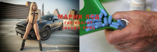 стафф Карпинск