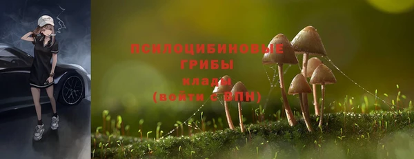 стафф Карпинск