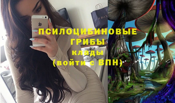 сатива Касимов