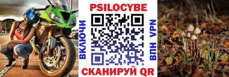 Купить  Южа  Псилоцибиновые грибы прущие грибы 