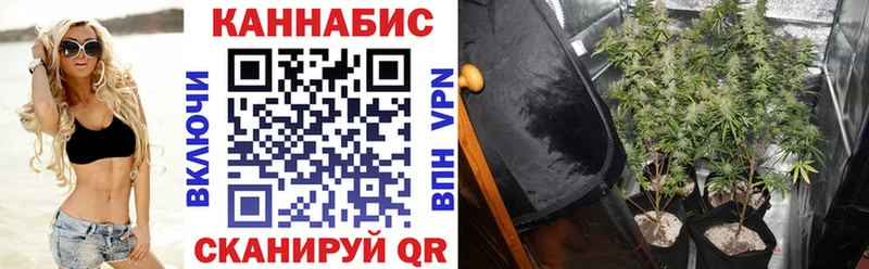 Марихуана MAZAR Южа